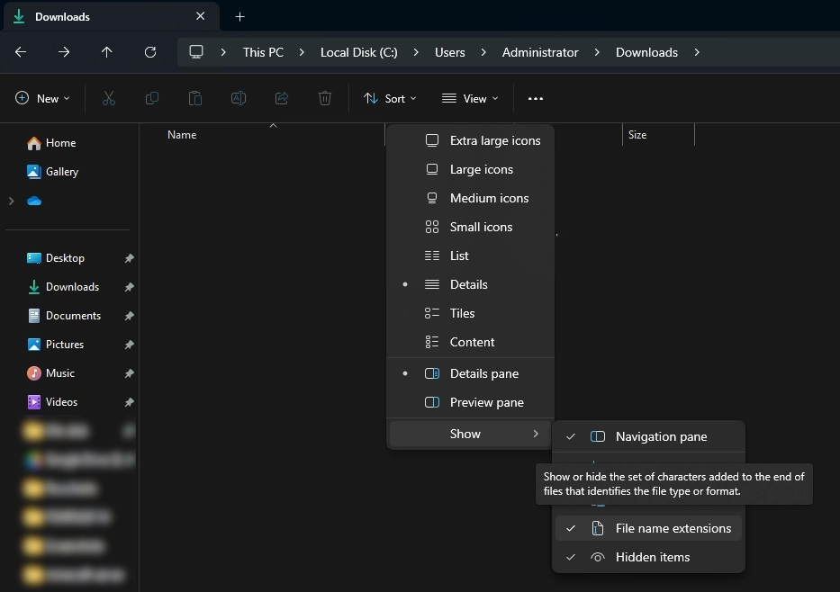 A screenshot of the Windows 11 File Explorer, specifically showing the "View" menu and its sub-menus open over the "Downloads" folder.
